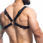 n12340-c4m-h4rness-black-party-harness-os-2-scaled