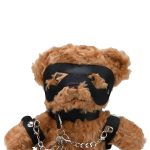 n12554-bound-to-please-bondage-bear-4